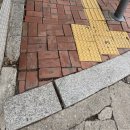 양지동