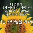 소망정신과 이미지
