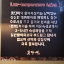 돛단배횟집