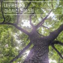 내포문화숲길 미소사진 컨테스트!