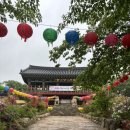 멍멍택시1 | [경주 여행] 경주 감산사 템플스테이 주말 체험형 후기(뚜벅이여행 후기)
