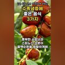 수족냉증 치료법, 손발 따뜻해지는 음식! 수족냉증에 좋은 음식 3가지 이미지