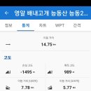 구룡상회 이미지