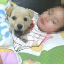 백구파출소 이미지