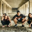 플라잉독 이미지