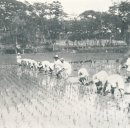 소만