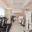 비벨라핏 이미지