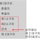 드라큘라치과의원 이미지