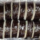 맛담은김밥 이미지