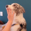 멍근멍근 이미지