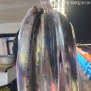 뉴태진호 이미지