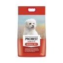 베스트 애견 이미지