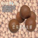척추근육강화기 이미지