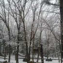 토함산자연휴양림 이미지