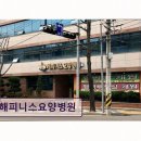 해피니스요양병원 네이버블로그
