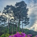 한탄강 큰 집 이미지