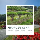 양지목장 | 서울근교수목장 추천 TOP5, 위치 가격 등 한번에 비교해봤어요