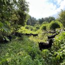 초원염소농장 이미지