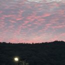 순내과의원 이미지