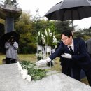 화성 이미지