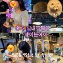 에이 앤 비(A&B) | 홍대 실내동물원 테이블에이에서 연인과의 데이트&gt;&lt;