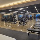 몽키짐 3호점 이미지