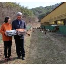 푸른들농장 이미지