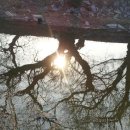 용성미산숲 이미지