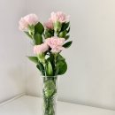 어버이날 카네이션 생화 홈즈플라워 카네이션꽃다발 후기
