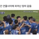 하나샤부정