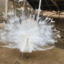 알파월드 이미지