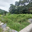 산아래농장 이미지