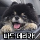 돌기와토담집