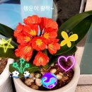 청풍솔루션 이미지