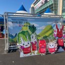 진안읍 1166 이미지