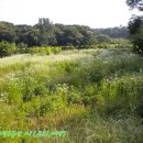 덕산양계 이미지