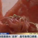 보산기술 이미지