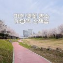성포공원길1L | 파주 야당 벚꽃 명소 ㅣ 산책하다 들리기 좋은 카페 &amp; 맛집 추천