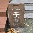 월수금;꽃