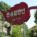 산울림펜션 이미지