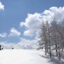 하늘아래목장 이미지