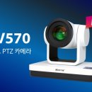 네스트주 이미지