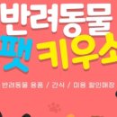 팻키우소 이미지