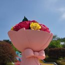 두왕갈비탕 | 울산대공원 장미축제(Feat.동물원)
