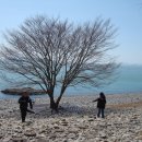 완도 정도리 구계등 이미지