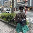 카디널레드 하우아백 블랙 은장 내돈내산 구매후기(구매팁, 배송, 착샷)