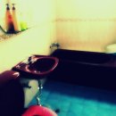 레몬이네민박 이미지