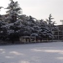 예산중학교 이미지