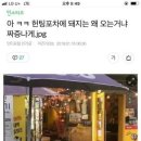 너구리포차 이미지