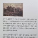 희망2길 브런치
